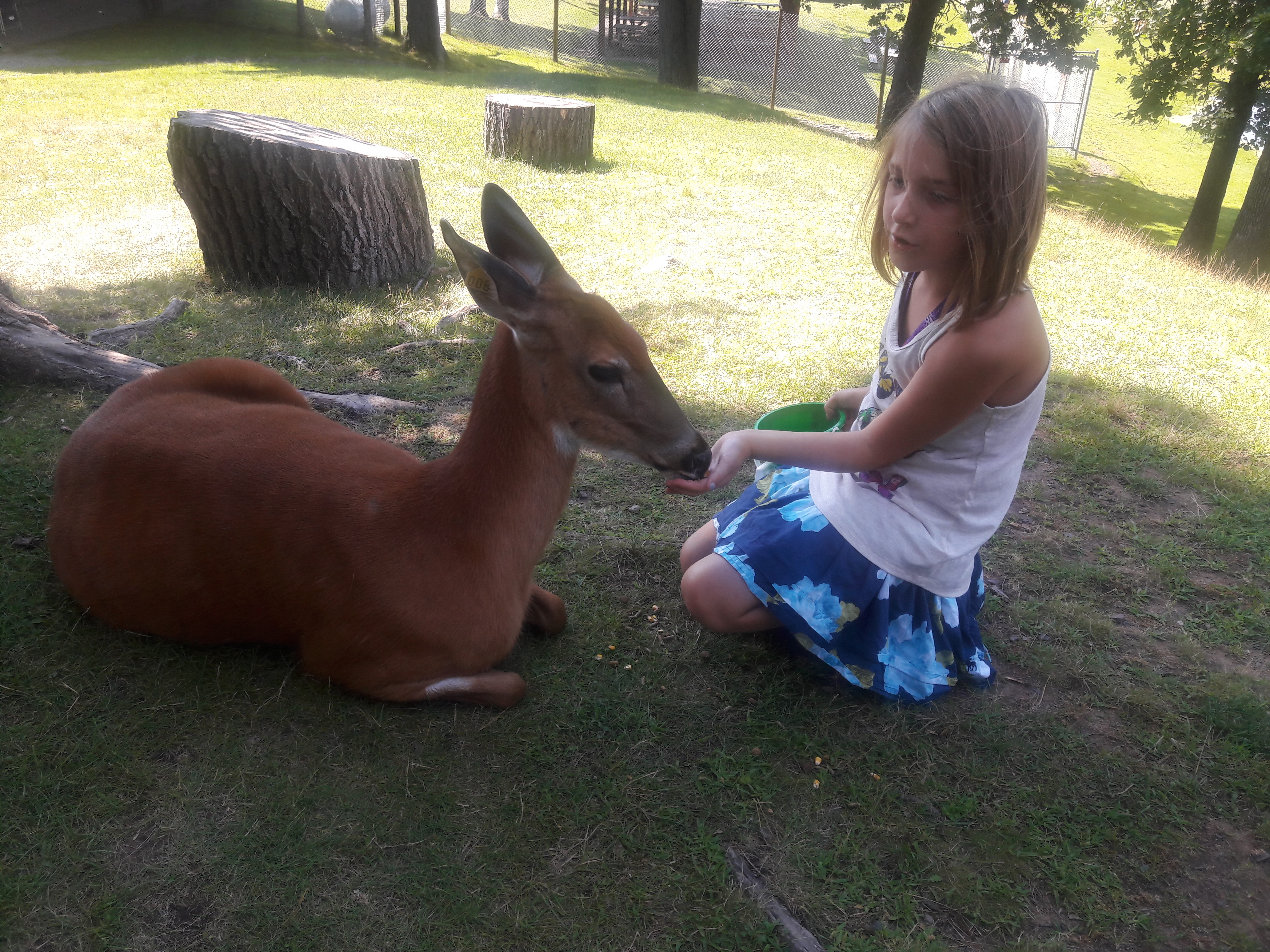 Andrea and Addison Deer
